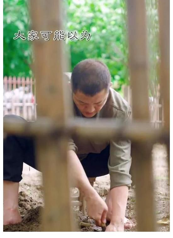 其中一位|李亚鹏被指挖走李子柒团队，二人视频风格极像，本人回应并没有