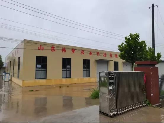 一亩田|东明县：发展农村电商 助力乡村振兴