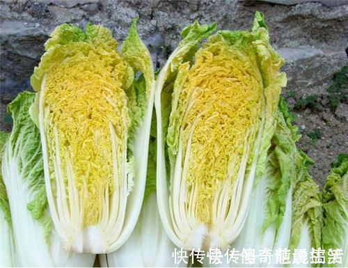 白萝卜|霜打过的菜为何甜？这4种菜不怕冻，别错过最后一种，越冷越好吃