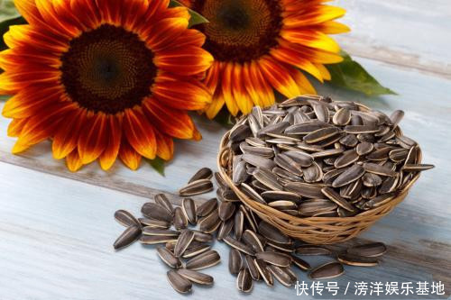 长期吃瓜子 对身体到底有什么影响 今天来告诉各位答案 全网搜 长期吃瓜子 对身体到底有什么影响 今天来告诉各位答案 全网搜