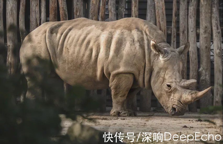 李稻葵|硬核时代，绝地求生