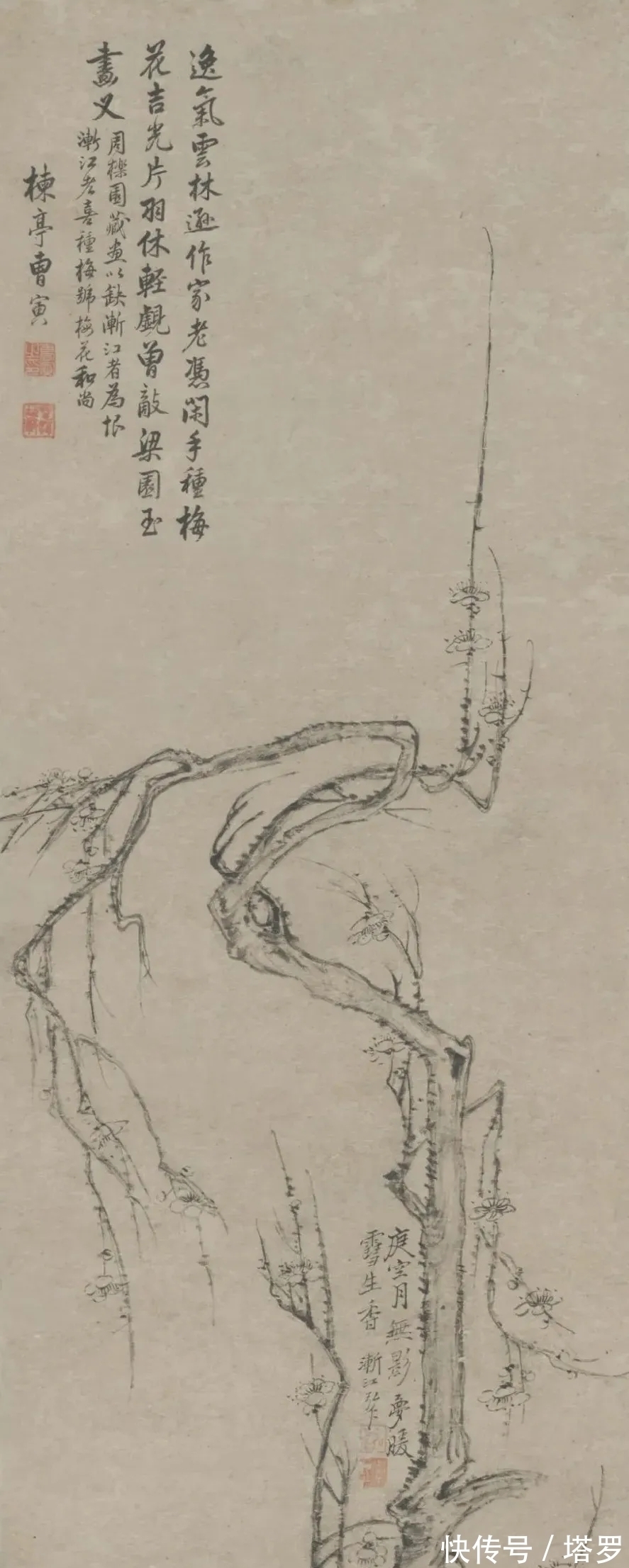 江画梅@他的山水画面貌来源于铁骨冰心的梅花|渐江画梅