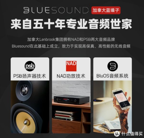 音质|全能多面手，Bluesound PULSE FLEX 2i家用桌面音响