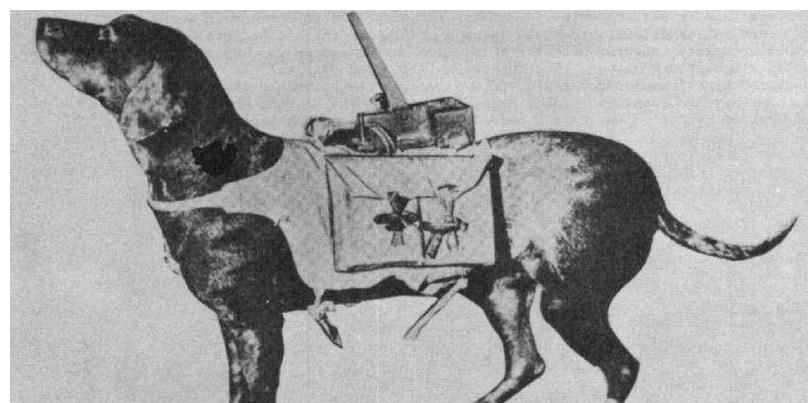 苏军|脑洞不止大还奇葩？二战时期的苏联反坦克犬和德国反坦克驴传奇