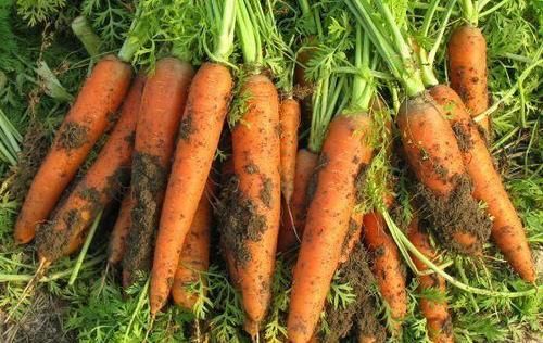 排毒养颜|预防身体变老，女性必备好食物，滋补养颜，排毒活血，吃了年轻了