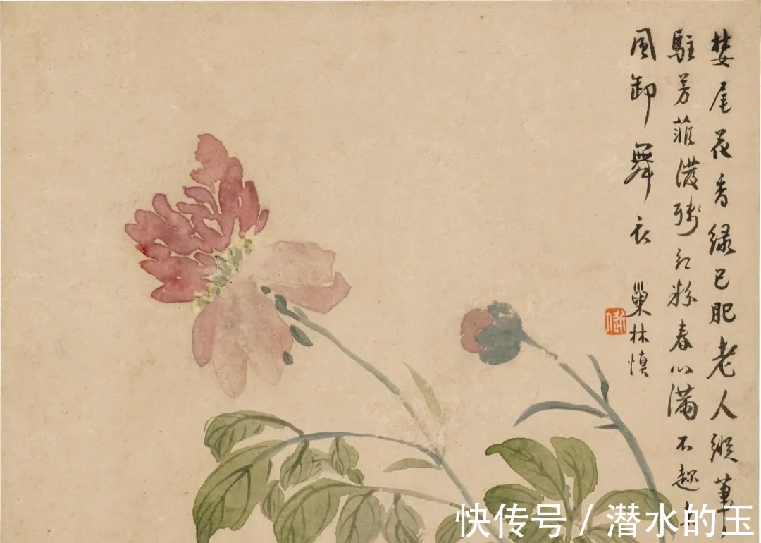 花卉图$汪士慎:一生心事为花忙丨私享艺术