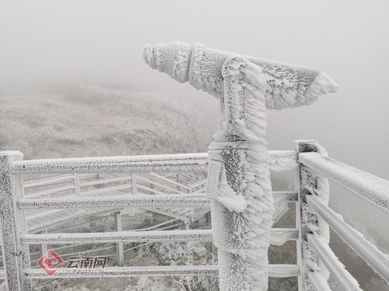 美如画！寒潮携2021年第一场雪飘落昆明轿子雪山