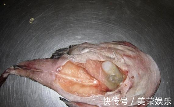 养花就用这些东西“密制”花肥,不花一分钱,还好用不烧根