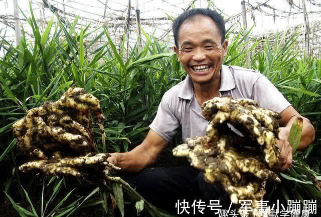 阳气|全年很适合养阳气、祛寒湿的日子就是这10天!