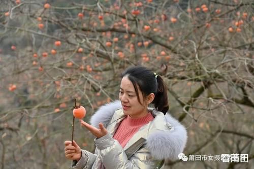 又见福建古村那一抹柿子红，你怎能错过？