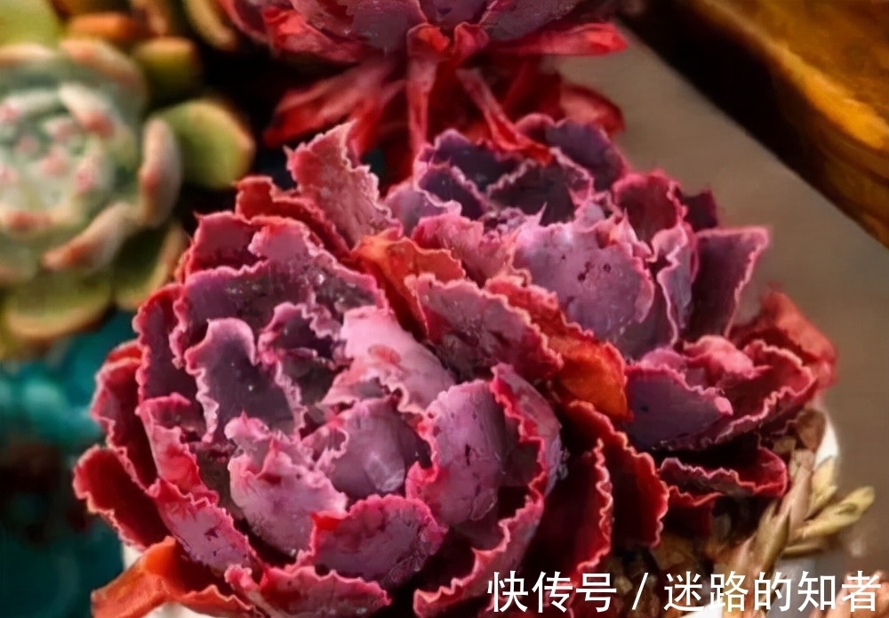 仙气十足的3款多肉,号称薄叶三仙,适合室内养护的也就广寒宫了