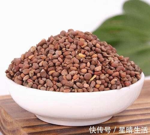 临床实用中药辞典|痰湿多,全身乱两味药,消痰+降压,稳住全身,请学习