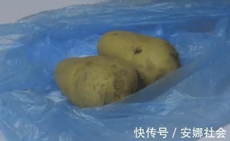 发芽|保存土豆的方法竟然这么简单，只需一招，土豆放一年也不变质发芽