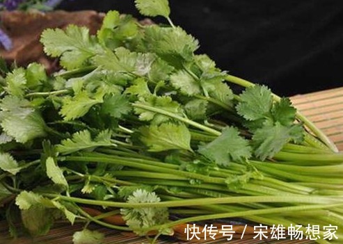 好处|每天一碗“香菜汤”,不用中医下药方!3个好处让你惊讶