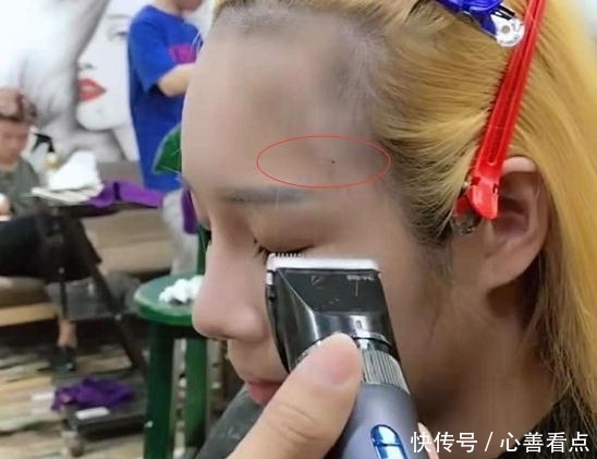 美女|美女在理发店剪头发,看到头发里面动物后,网友:理发师崩溃了!