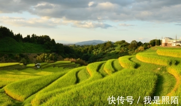 生肖|心地善良，非常敬业的生肖，2天后财运飙升，事业高升，富裕无忧