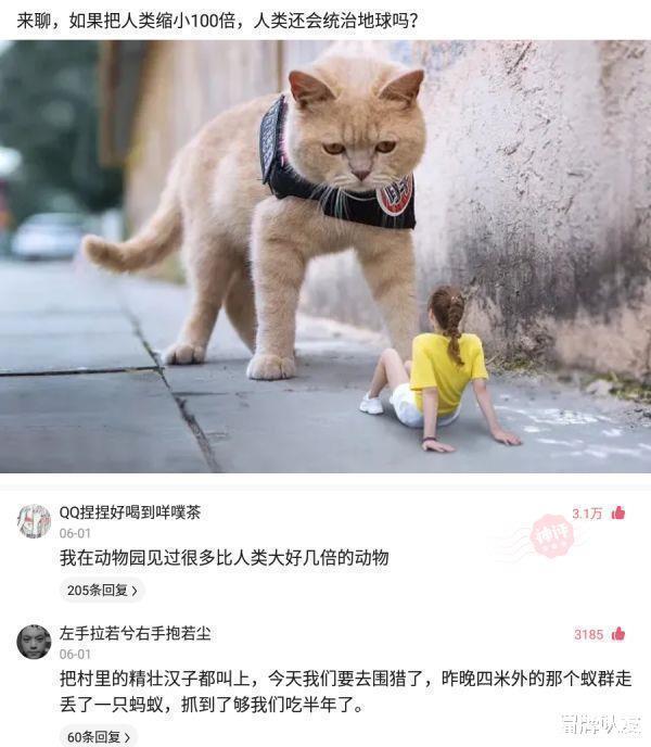 |沙雕段子奥运会游泳馆的网速不行啊,连2M都达不到