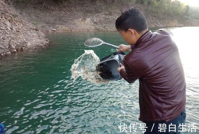 钓鱼|钓12斤鲈鱼被查，长江一杆一线垂钓，为何成了非法偷钓？