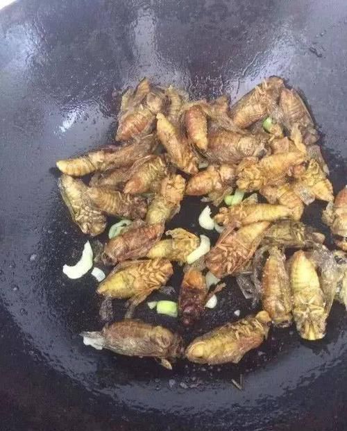 好吃|继皮皮虾后,又一“宵夜霸主”产生了,网友虽长得丑但却好吃