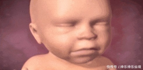 笑声|8个月准妈妈做产检,检查时大夫发出笑声,孕妈看我怎么收拾你