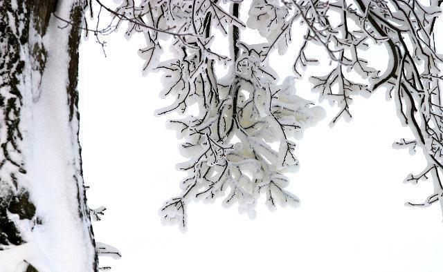  冬至|冬至前4天做这几件事，散掉身体1年的寒气