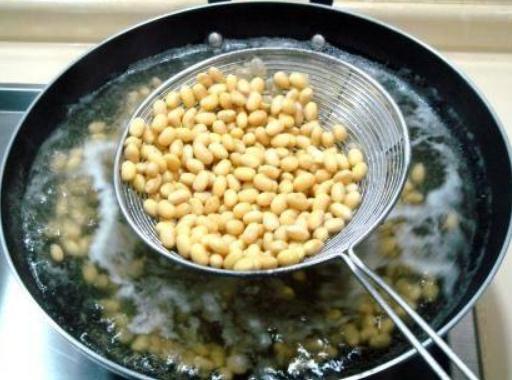 红掌越养,花越少学会“顺着来”,花箭射、叶片亮,养了就爆