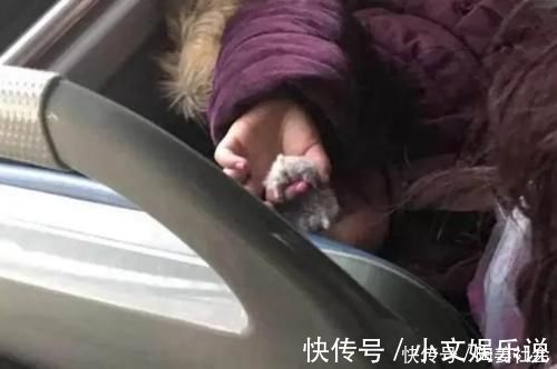 女孩|公交车上,4岁女孩的行为让乘客颤抖小小年纪怎么会这么狠