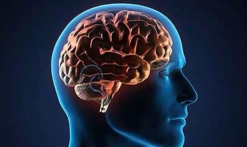 身体|每天晚11点睡、早7点起的人,最后都怎么样了?该庆幸还是该后悔