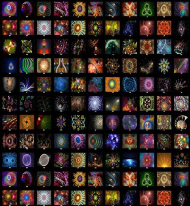 异形|人类你别以为自己长得美,事实上,生物就该美成异形那个样……