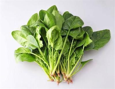 大白菜|各种蔬菜营养深度分析,这5种蔬菜是营养冠军,补钙强骨都靠它