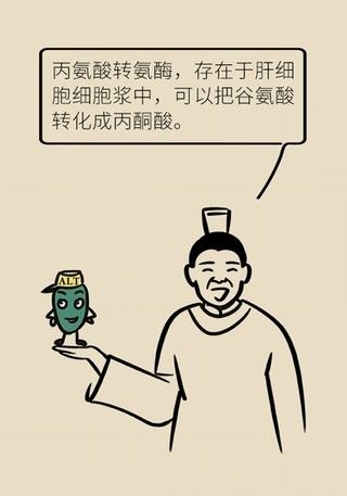 指标|肝功转氨酶高就是肝硬化？未必！这几个指标才是重点