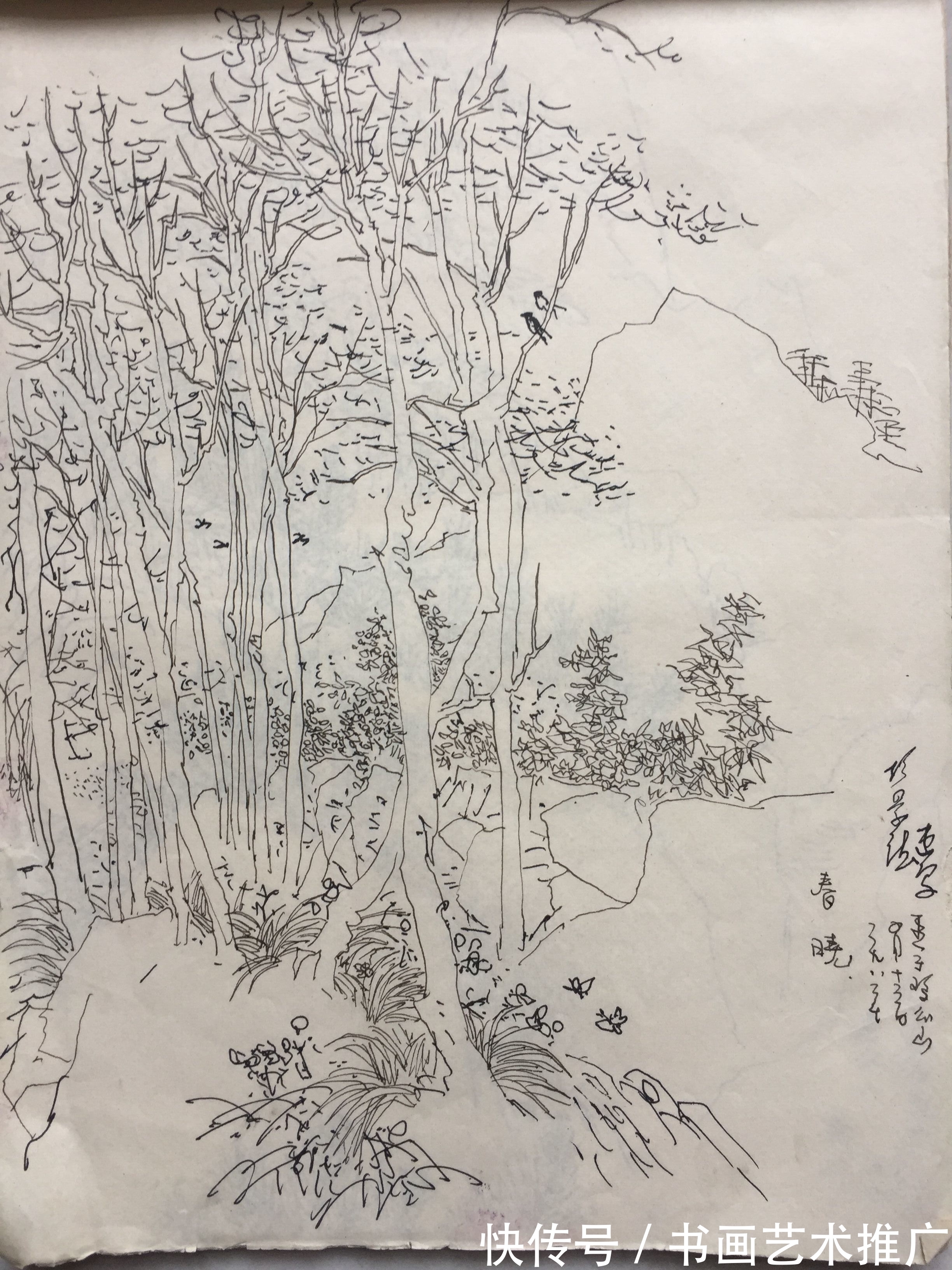 画家#艺标当代 风范长存—当代著名书画家胡景德早期写生作品展