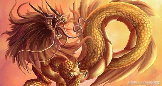 到底是三爪还是五爪呢?