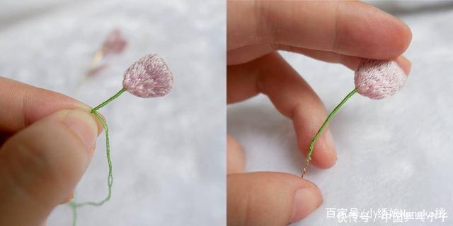  母亲节送给母亲的花朵，应让它从我们的手中盛开，康乃馨花朵教程