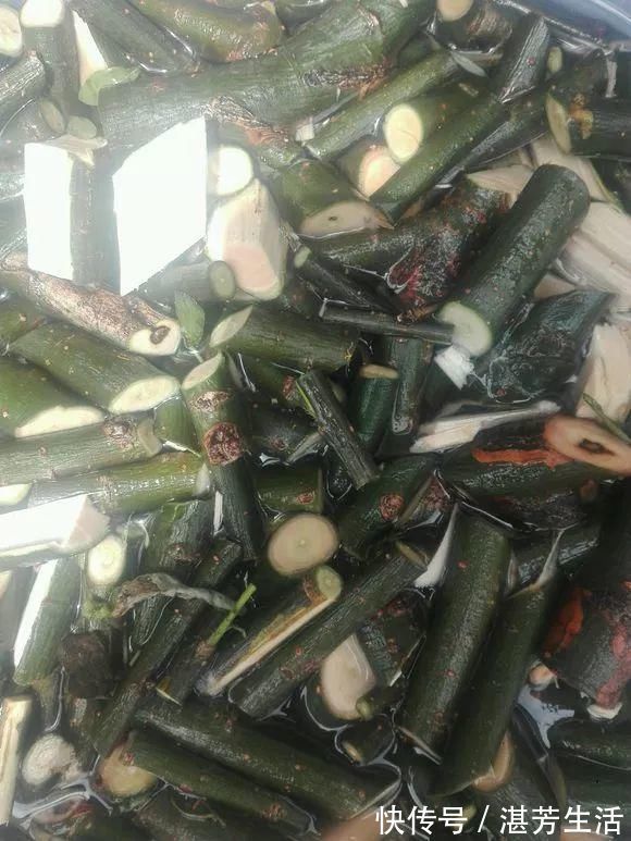 花盆里插1根筷子，解决了养花人的大难题，快试试看！