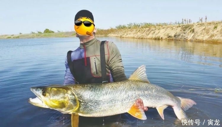 中国还有这地方田间地头的水沟,竟藏着60斤的“水老虎”