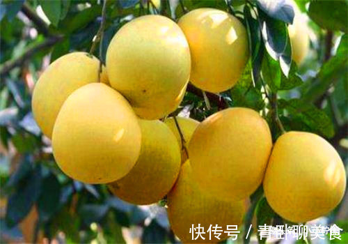 瘦身|人到中年推荐常吃4种食物，排毒消脂，润肠通便，营养又瘦身