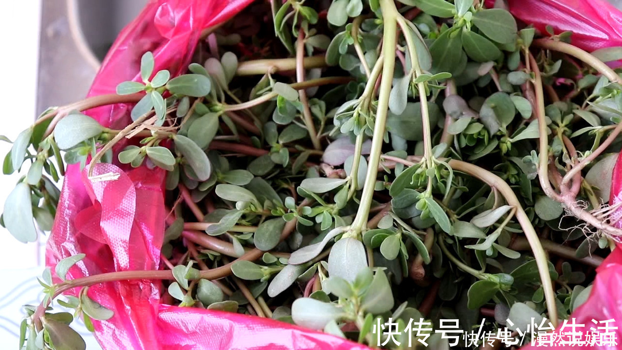 搅拌均匀|马齿苋最好吃的做法，家里每次做一大盆不够吃，吃着真香