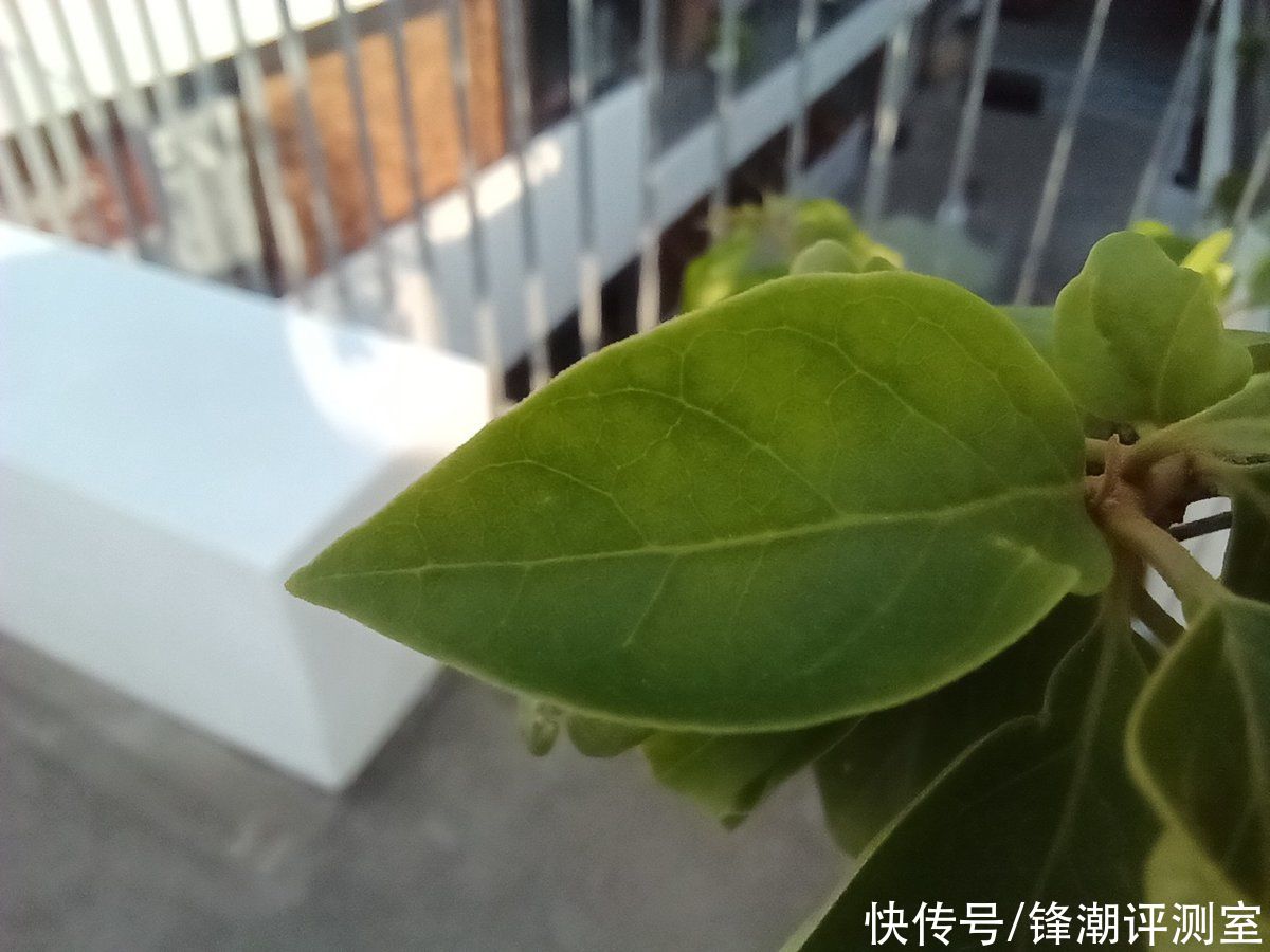 荣耀|荣耀50 SE评测：边框最窄的LCD屏，实际体验到底怎样？