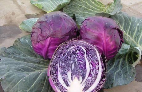 白杨梅|想养生得会吃,3种食物换着吃,美容养颜,滋补身体,早吃早好!