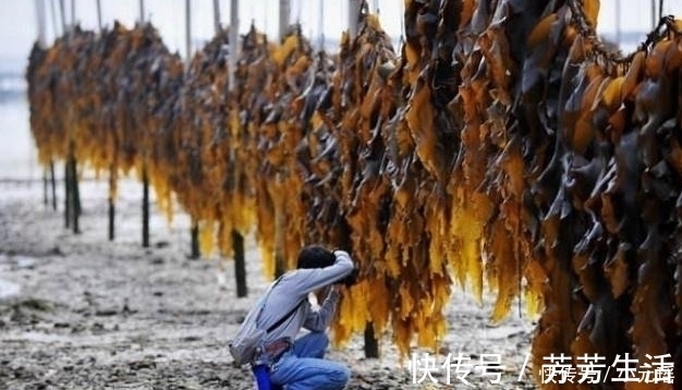 女人|它是天然“黄体酮”，女人经常吃一点，子宫可能会对你说“谢谢”