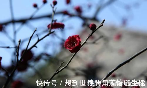 陆游@最唯美的一首词,800多年来无人能出其右,成为宋词压卷之作