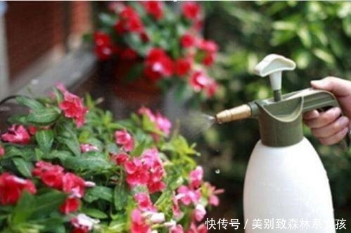 家家都有的1种东西,用来养花,比花肥还厉害,还能驱虫!