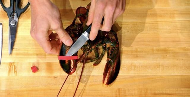 米其林|米其林大厨戈登拉姆齐,完美无痛拆龙虾肉,只需7步骤轻松上手