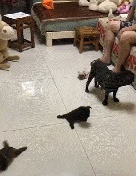 |搞笑GIF:美女这表情真是丰富啊,不去当演员亏了啊