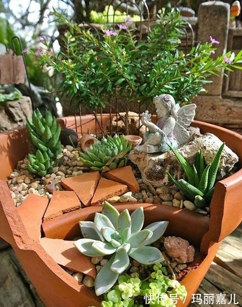 农村不要的老物件,用来养花美极了,造型雅致别有一番风味!