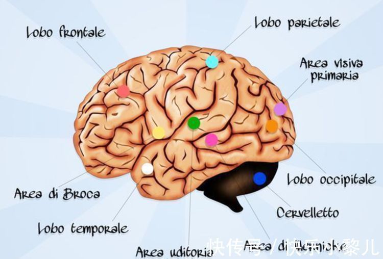 抓住|孩子在幼儿时期,有三次“变聪明”机会,家长至少要帮娃抓住一次