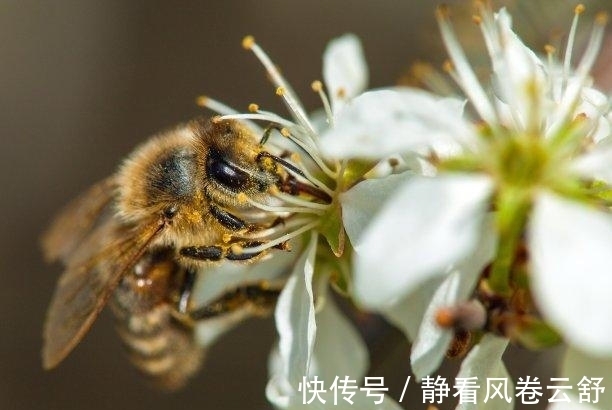 感情|两周以后，心有不甘，再次陷入，旧爱回头，再起情缘，好运连绵