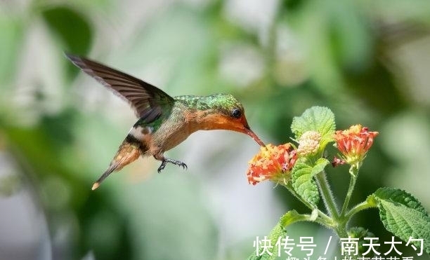 财气|中旬之后，财气满满，鸳鸯送缘，存款暴增，越过越好，迎来新局面