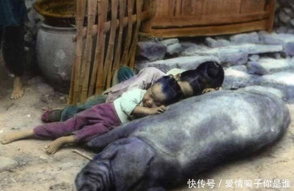 犯人|晚清老照片:犯人淡定提裤子,富家老爷娶少妻!